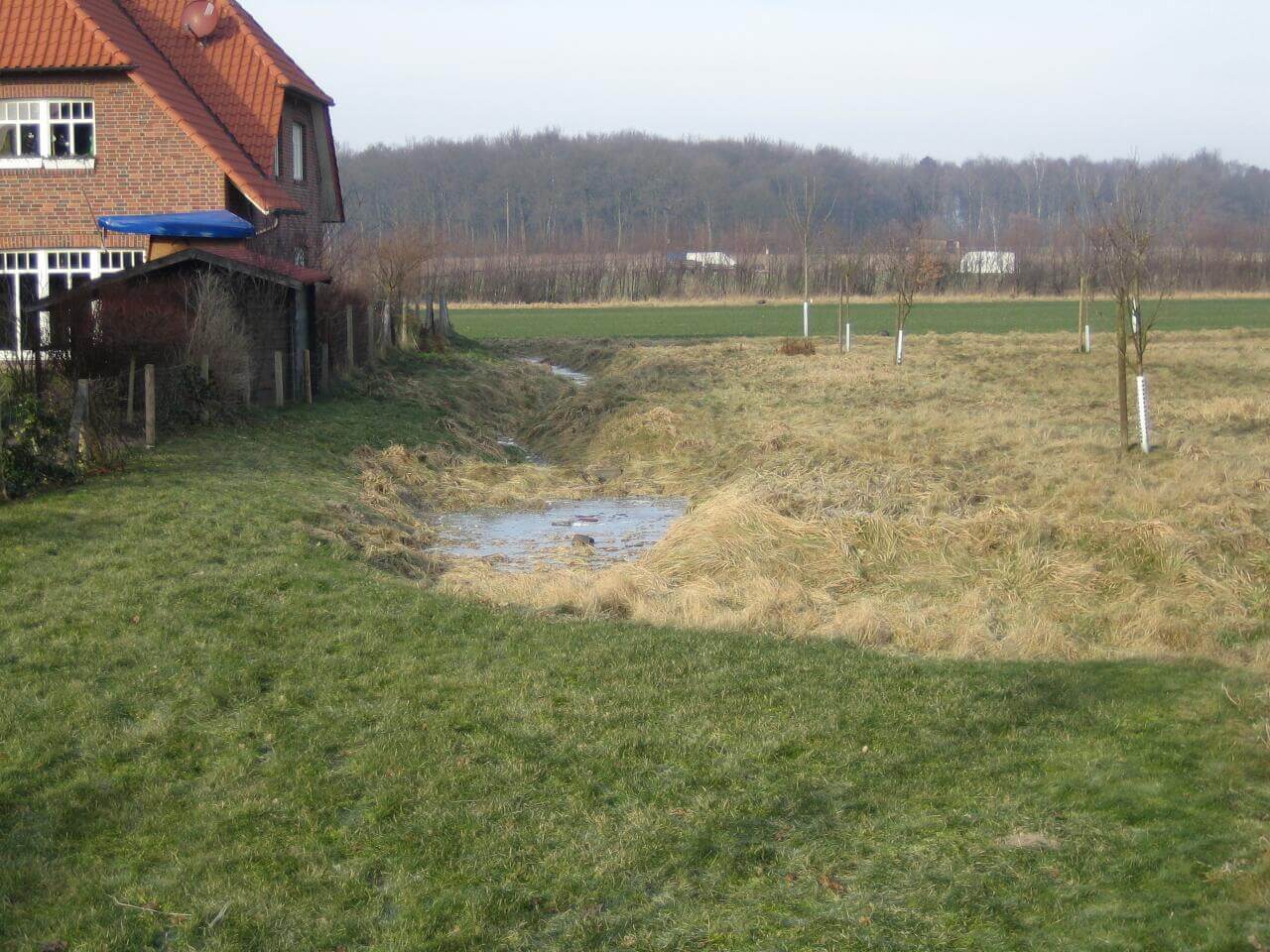 Ingenieurbüro König Braunschweig Projekt In den Ackern in Adenbüttel 14